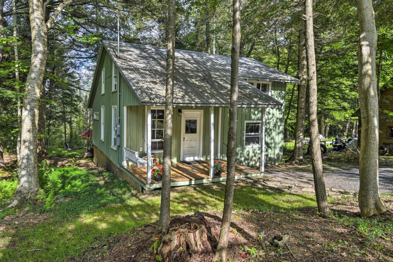 Adirondacks Cabin With Fire Pit On Otter Lake! Forestport Экстерьер фото